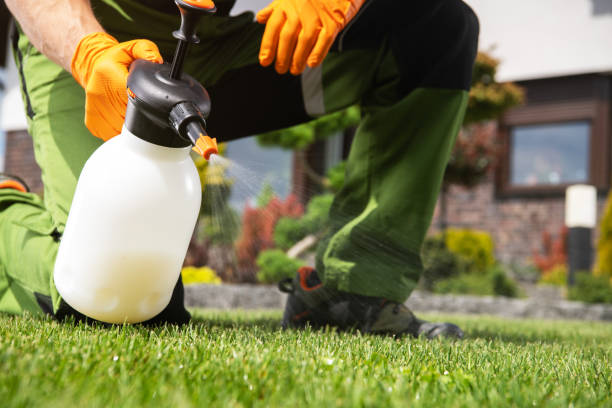 Best Pest Control Near Me in Belleville, PA