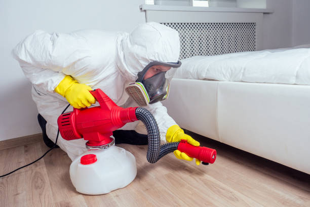Best Local Pest Control Services  in Belleville, PA