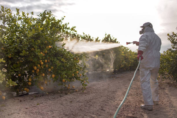 Best Exterminator Services  in Belleville, PA