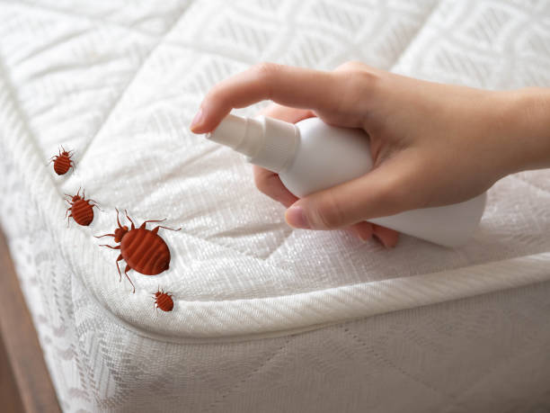 Best Pest Control Near Me  in Belleville, PA